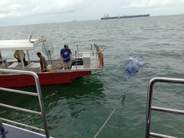 Operasi mencari dan menyelamat PATI yang jatuh ke laut dilakukan APMM di perairan Tanjung Piai, Pontian.