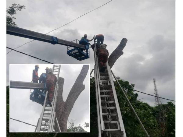 Anggota bomba membawa turun dua pekerja yang tersangkut di atas skylift di Jalan Tembaga, Kawasan Perusahan Banting, hari ini.