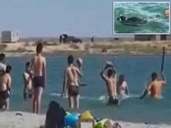 Sekumpulan lelaki memukul, baling batu terhadap anjing laut menghampiri pantai Kaspia Wilayah Mangystau di Barat Kazakhstan.