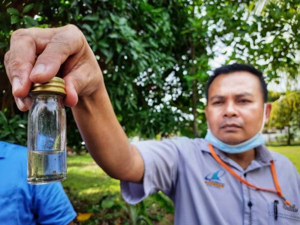 Kakitangan MPK menunjukkan jentik-jentik yang dijumpai dalam bekas bertakung di sebuah rumah kosong di Taman Permai Jaya hari ini.