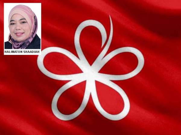 Bersatu Kedah akan melaksanakan pemutihan ahli bagi memastikan parti berkenaan lebih bersih, kemas dan tersusun.