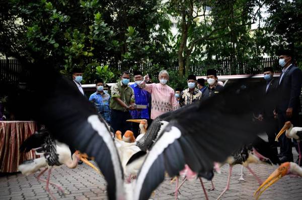 Yang di-Pertuan Agong, Al-Sultan Abdullah Ri'ayatuddin Al-Mustafa Billah Shah berkenan memberi makanan kepada Burung Upeh ketika melawat Zoo Negara hari ini. Turut hadir Timbalan Presiden Zoo Negara Rosly Ahmat Lana.  - Foto Bernama
KUALA LUMPUR, July 28 -- Yang di-Pertuan Agong Al-Sultan Abdullah Ri'ayatuddin Al-Mustafa Billah Shah consented to feed the Burung Upeh during visiting Zoo Negara today.
Also present Zoo Negara’s deputy president Rosly Ahmat Lana. --fotoBERNAMA (2020) COPYRIGHTS RESERVED 