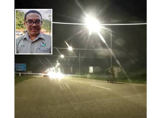 Salman menasihatkan pengguna jalan raya supaya memberhentikan kenderaan bagi memberi laluan kepada gajah untuk melintas.