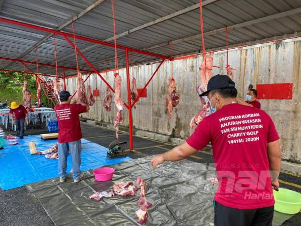 Proses melapah daging dilakukan secara bergotong-royong sebelum diagihkan kepada penduduk. 