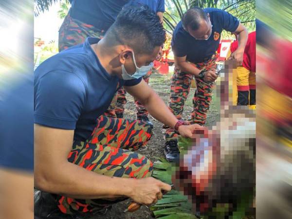 Bomba Bidor Curi Masa Laksana Ibadah Korban