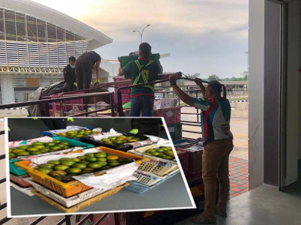 Anggota penguatkuasa MAQIS memeriksa buah limau cuba dibawa masuk tanpa dokumen sah di Bukit Kayu Hitam baru-baru ini.