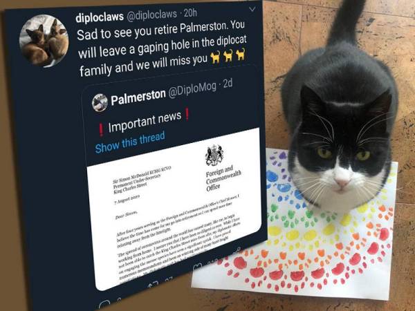 Ramai bersedih atas 'persaraan' Palmerston dan pasti akan merinduinya.