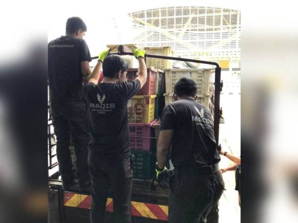 Pegawai Maqis sedang menjalankan pemeriksaan keatas lori terbabit yang masuk melalui laluan kargo import di Kompleks ICQS semalam.