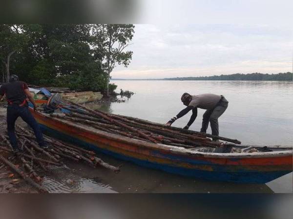 Lebih kurang 200 batang kayu jaras bakau dirampas dalam operasi dilaksanakan Jabatan Perhutanan Negeri Selangor (JPNS) Ahad lalu.