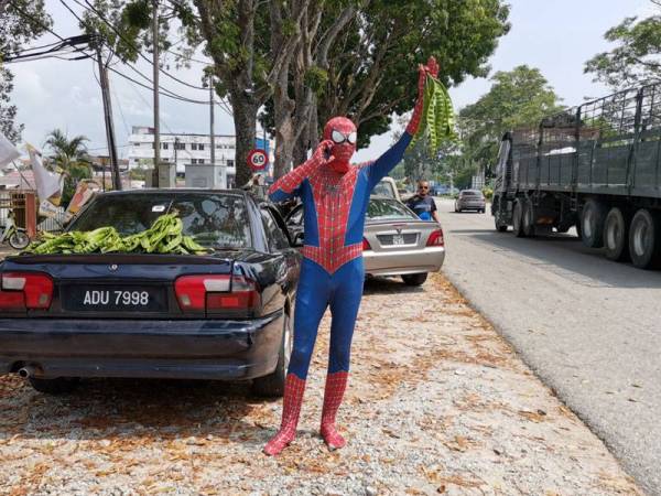 Selvakumar yang memakai kostum Spiderman tidak kekok menjual petai di tepi jalan di Slim River.