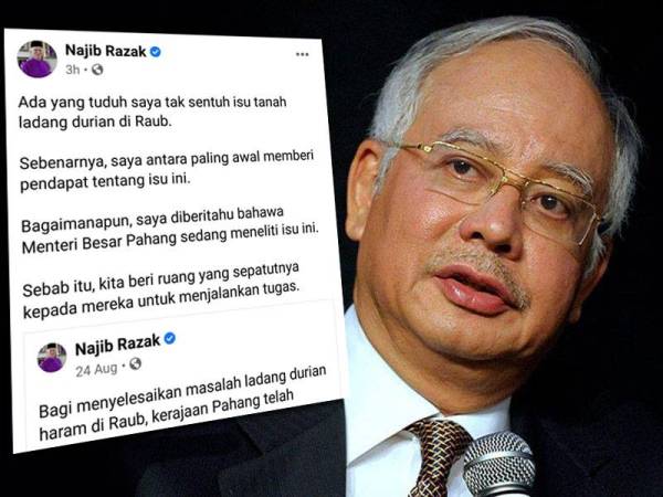 Hantaran Najib mengenai isu ladang durian di Raub di laman Facebook beliau hari ini.