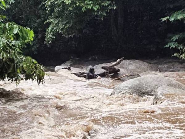 Antara mangsa yang terperangkap di batu ekoran arus deras dalam kejadian tersebut.