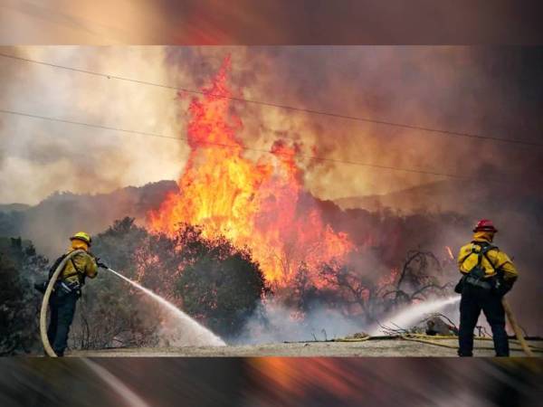 Anggota bomba memadamkan kebakaran belukar di Jamul, California semalam. - Foto AFP