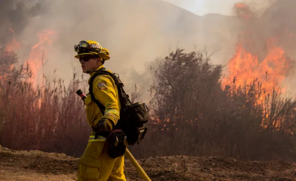 Salah seorang anggota Cal Fire sedang berusaha memadam kebakaran hutan. - Foto sumber internet