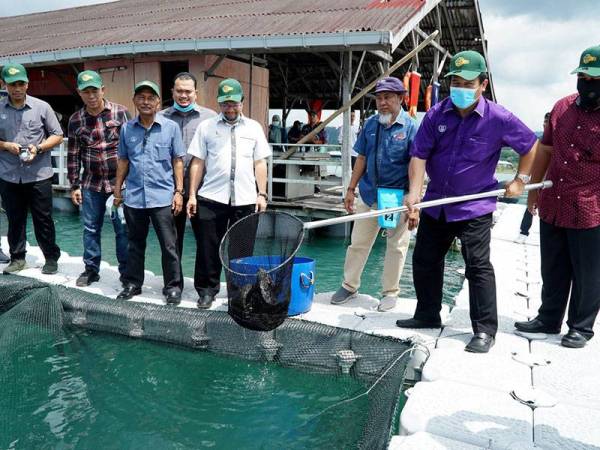 Sangkar ikan laut