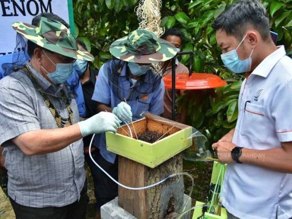 Henry (kiri) melawat Projek AET Ternakan Madu Lebah Kelulut Kampung Kongkular, Tenom semalam.