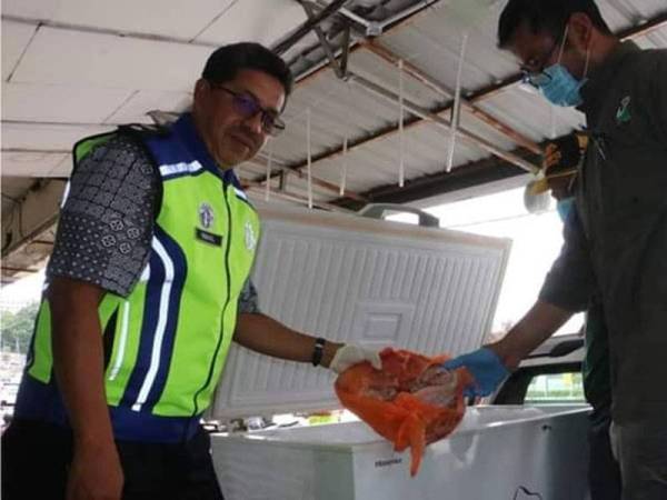 Ismail (kiri) menunjukkan daging hidupan liar yang ditemui di sebuah premis sewaktu operasi bersepadu dijalankan di sekitar daerah Seri Alam semalam. - Foto IPD Seri Alam