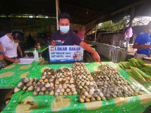 Adie menunjukkan lokan yang dijual di gerainya di Kampung Salut, Kota Kinabalu. 