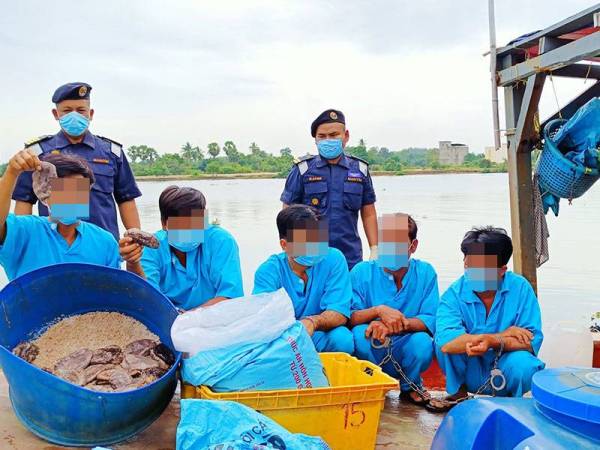 Cubaan sekumpulan nelayan asing warga Vietnam yang menggunakan teknik 'zigzag' untuk meloloskan diri selepas mencuri hasil gamat di negara ini gagal apabila mereka ditahan oleh APMM Kelantan.