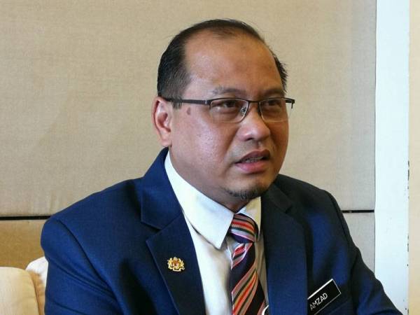 Deputy Minister Malaysia In Midst Of Developing