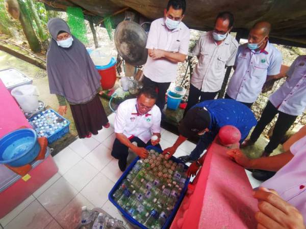 Mohd Salim (dua dari kiri) memungut telur itik di ladang ternakan itik milik Hamzah di Kampung Kota Belud kelmarin. 