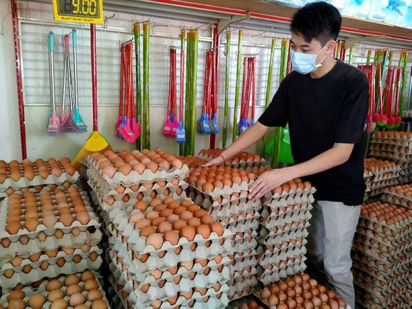 Kira-kira 9,000 telur ayam di sebuah pasar mini terpaksa dibuang berikutan terlalu lama disimpan dalam kedai akibat PKPD Pentadbiran di Zon Melor Ambangan Heights di Sungai Petani.