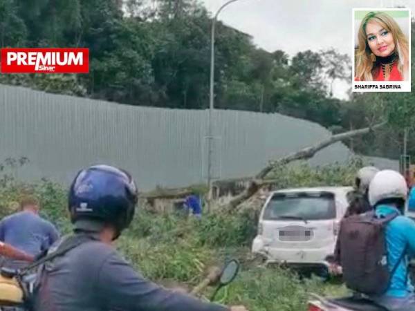 Kejadian pokok jatuh terkena kenderaan awam minggu lalu didakwa disebabkan oleh kerja-kerja yang telah dimulakan di tapak projek tersebut.