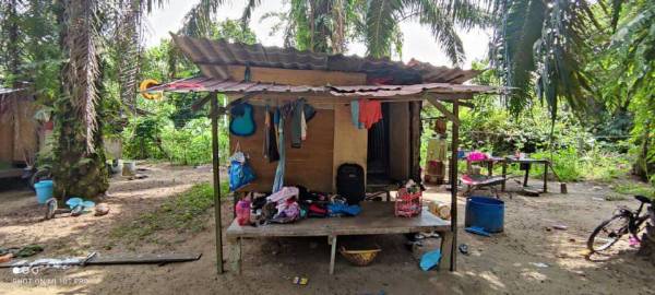 Dalam kejadian Ahad lalu, wanita warga Indonesia dikenali Yanti Abas, 35, ditemui dalam keadaan tidak bernyawa di sebuah pondok dalam keadaan jasadnya ditutupi sehelai kain di pondok berkenaan.