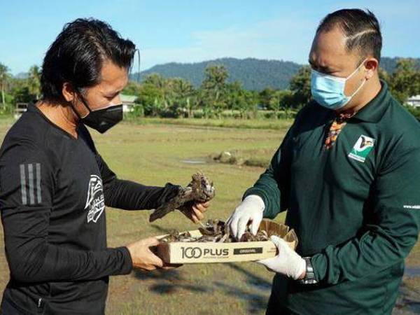 Mohd Nazri (kanan) dan Shahrizan Saad melihat bangkai burung Ciak Rumah yang ditemukan di sekitar Taman Wawasan Indah, Ulu Melaka hari ini. - Foto Bernama