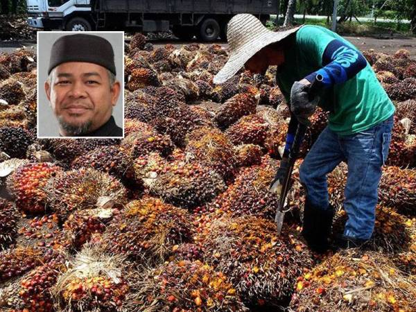 FGV disaran meneroka pasaran baharu dengan memfokuskan eksport sawit ke negara berpotensi. Gambar kecil: Khairuddin