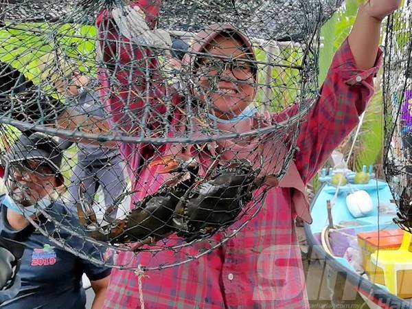 Menangkap ketam nipah menggunakan ‘bito’ yang diletakkan umpan ikan antara aktiviti menarik yang ditawarkan menerusi pakej pelancongan Merchang Lestari yang akan diperkenalkan bermula Mac 2021.