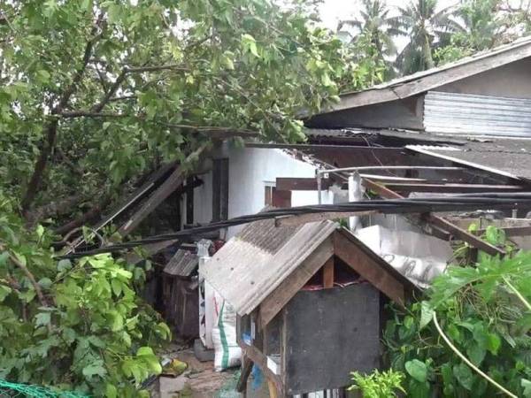 Keadaan rumah didiami tujuh beranak yang dihempap pokok sentul dalam kejadian ribut petang semalam (foto: ihsan pembaca)