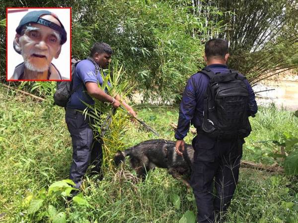 Operasi mencari seorang warga emas yang hilang di Kampung Charuk Padang masih diteruskan pada hari ketiga hari ini membabitkan 55 anggota penyelamat termasuk pegawai dari pelbagai agensi.. Gambar kecil: Ek Liau dilaporkan tidak pulang ke rumah sejak 28 Oktober lalu.