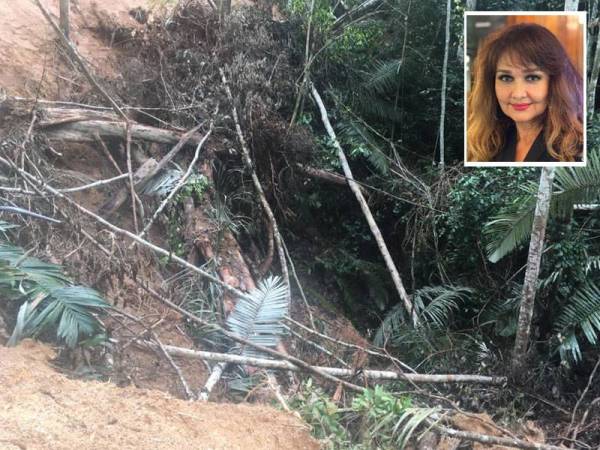 Kemusnahan hutan yang menjejaskan aliran Sungai Kenoi.
Gambar kecil: Shariffa Sabrina