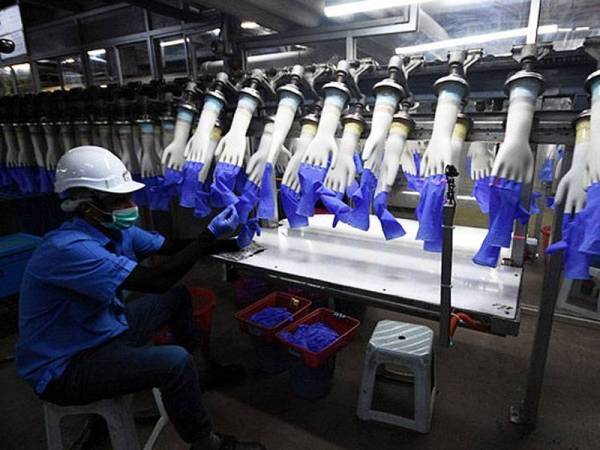 Top Glove Corporation Bhd mengesahkan bahawa 17 kes daripada jumlah tenaga kerja kumpulan yang seramai 21,000, diuji positif Covid-19 sejak Januari 2020. - Foto Bernama