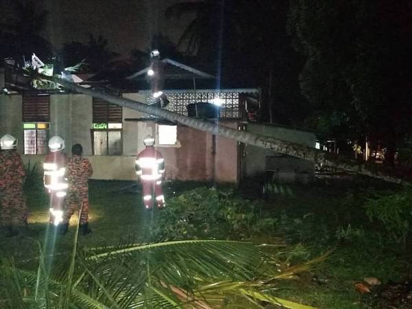 Pokok kelapa yang tumbang menghempap rumah mangsa di Kampung Nyatoh, Kuala Sawah Rantau. - Foto Bomba