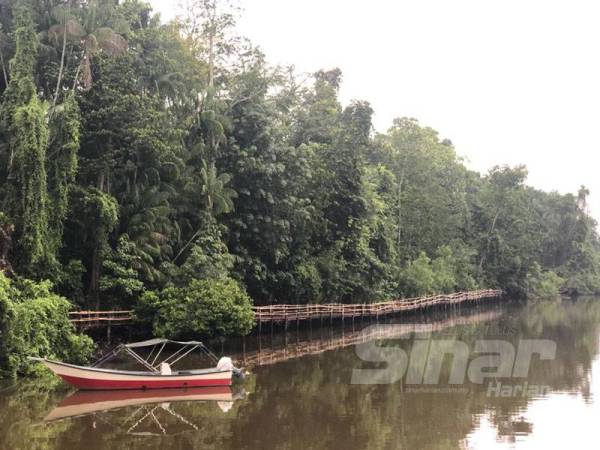 Jambatan Denai Sungai Pengkalan Datu yang menjadi lokasi tumpuan pelancongan terbaharu di Kelantan sejak sebulan lalu, kini ditutup bagi mengelak penularan Covid-19.