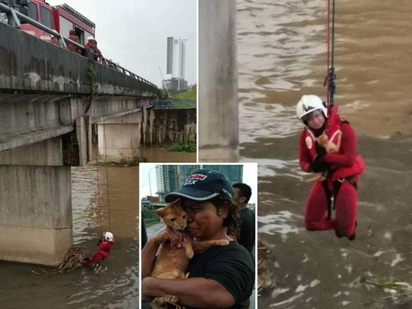 Anggota bomba menjalankan kerja menyelamat seekor kucing di jambatan berhampiran D.Island Putra Perdana, Puchong petang tadi.