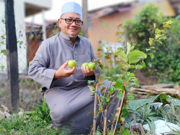 Covid 19 Mutawif Jadi Tauke Bidara