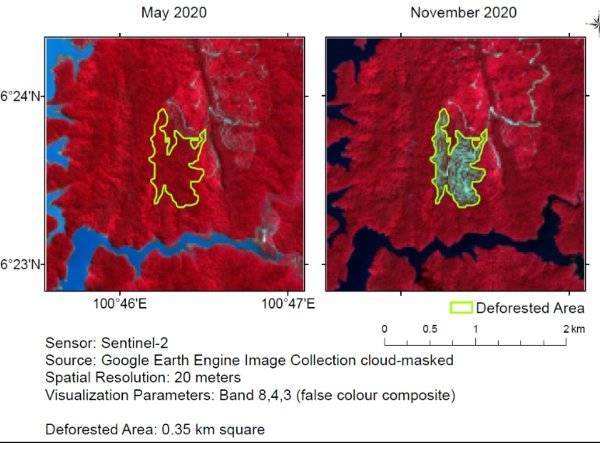 Imej satelit antara Mei dan November 2020 yang dilampirkan oleh NGO-NGO tersebut dalam kenyataan mereka.