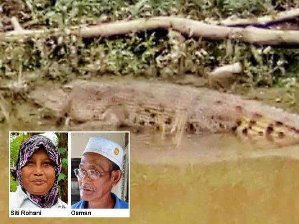 Kelibat buaya berjemur di tebing Sungai Lalang dirakam penduduk berhampiran.