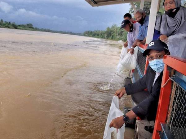 Mohammad Fakhruddin melepas ikan sungai pada Program Pemuliharaan Dan Perlindungan Sumber Perikanan Darat di Kampung Padang Rumbia, Pekan, Pahang semalam.