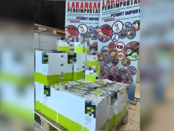 Maqis Pulau Pinang merampas 8,400 paket biji benih di LTAPP kelmarin.