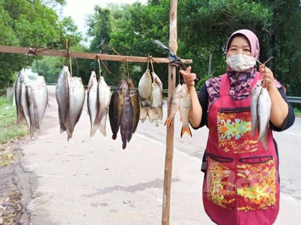 Nik Maznah menunjukkan ikan darat yang dijualnya di Jalan Rantau Panjang - Pasir Mas yang kini lengang selepas PKPB dikuatkuasakan di Kelantan.