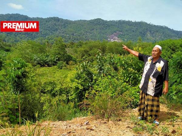 Ismail menunjukkan Hutan Simpan Bukit Enggang yang dikatakan mengandungi REE.