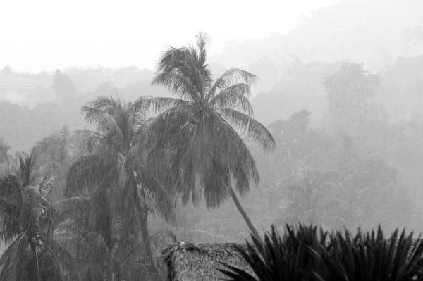 MetMalaysia hari ini mengeluarkan amaran cuaca waspada dengan hujan lebat dijangka berlaku di beberapa negeri. - Foto 123RF