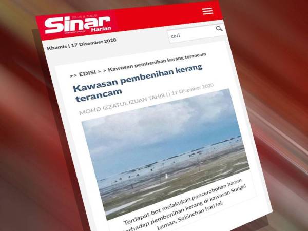 Laporan Sinar Harian mengenai kegiatan pencerobohan kawasan pembenihan kerang di Sekinchan.