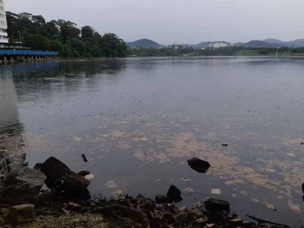 Keadaan Taman Tasik Metropolitan Kepong yang tercemar sebelum ini. - Foto Ihsan FB Lim Lip Eng