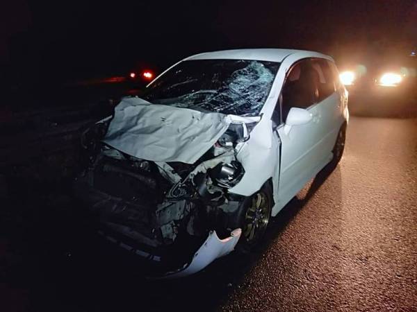 Kenderaan Honda Jazz dopandu mangsa remuk teruk di bahagian hadapan setelah terlanggar seekor kerbau yang melintas di susur Kuala Telemong-Plaza Tol Telemong, LPT2 malam Ahad. - Foto: Ihsan Polis