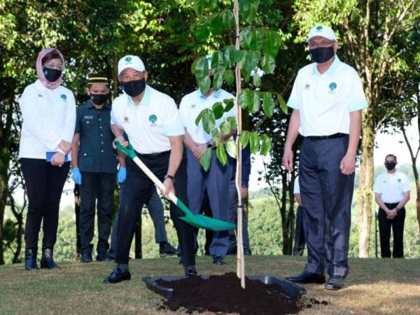 Muhyiddin (tiga dari kiri) memulakan Kempen Penanaman 100 Juta Pokok (2021-2025) dengan menanam pokok merbau anjuran Jabatan Perhutanan Semenanjung Malaysia di Kediaman Rasmi Seri Perdana, Putrajaya pada Selasa. -Foto Bernama